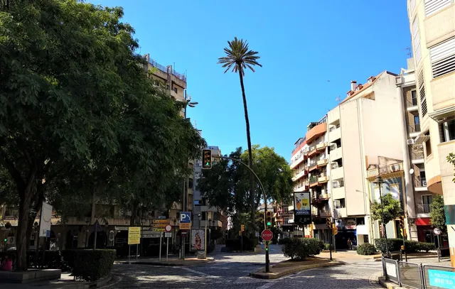 Plaza de La Palmera