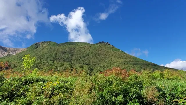 Niseko Flower Garden