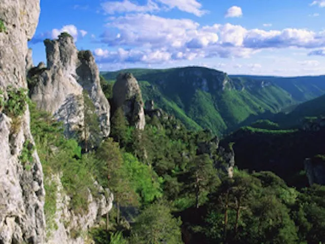 Gorges de la Dourbie
