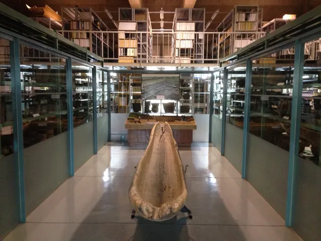 ところ埋蔵文化財センター