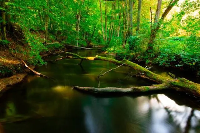 Strzelce-Drezdenko County