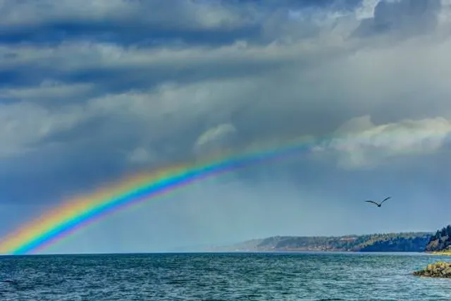 Brackett's Landing Shoreline Sanctuary Conservation Area