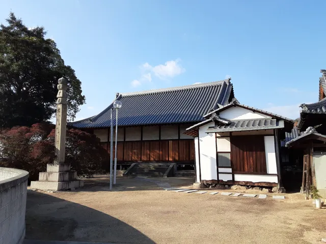 photo-1