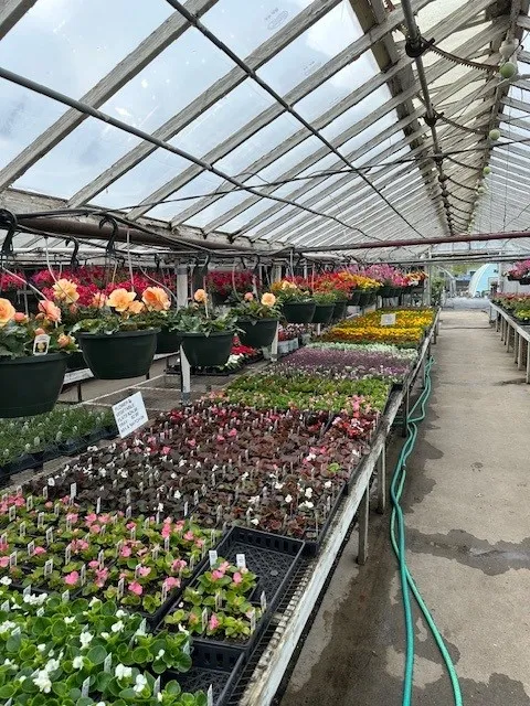 Puritas Nursery & Garden Center