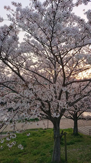 Einomaru Central Park
