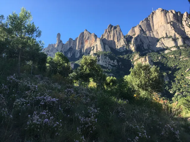 Sant Benet de Montserrat