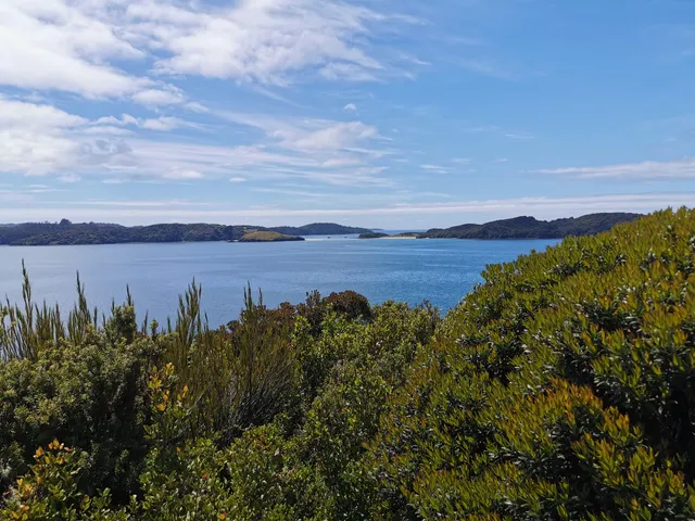 Ulva Island Te Wharawhara, Marine Reserve