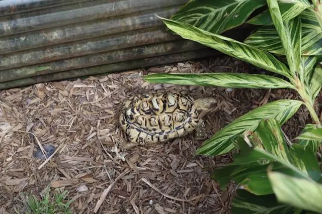 George C. McGough Nature Park