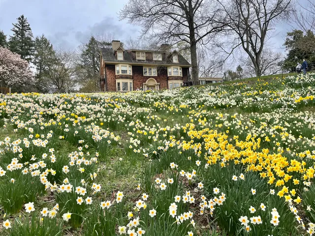 Reeves-Reed Arboretum