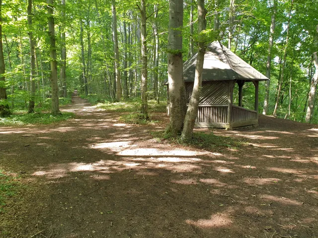 photo-1