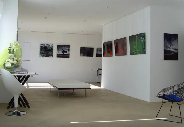 Galerie Pascal Lainé