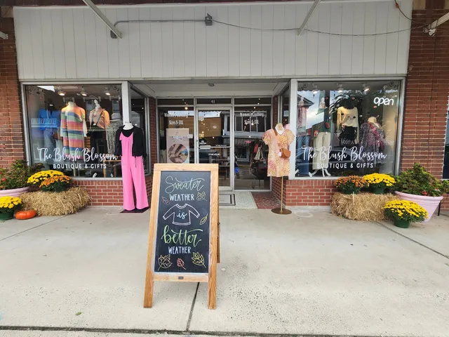 The Blush Blossom Boutique