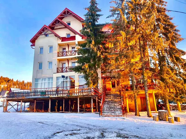 Pensiunea Cabana Art