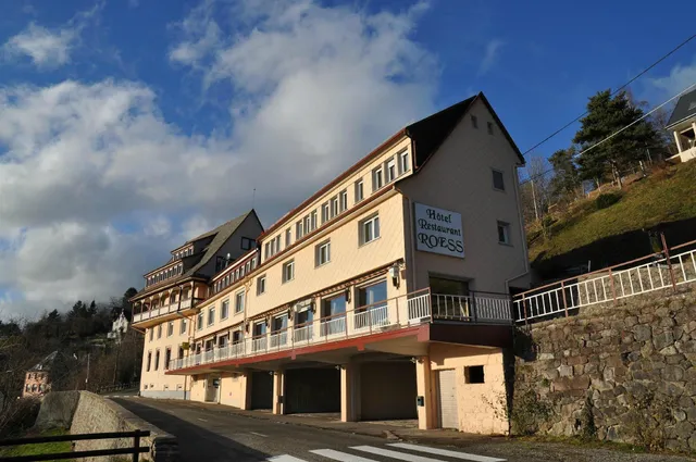 Hôtel Roess