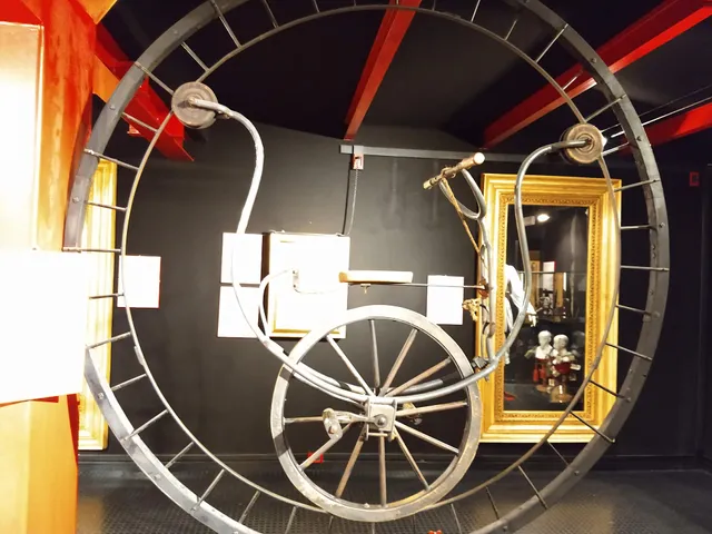 Museo delle Curiosità