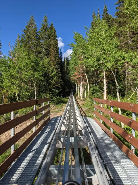 Snowbird Mountain Coaster