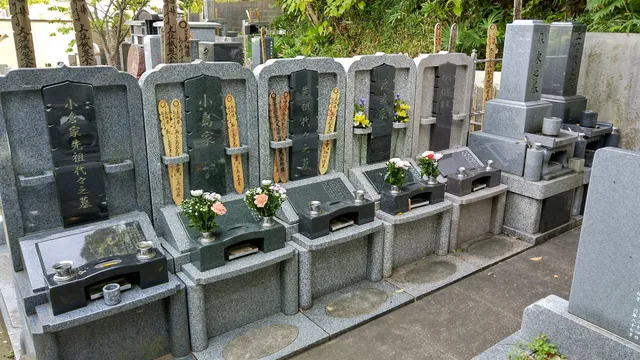 photo-1