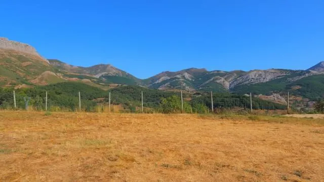 Museo de la Fauna Salvaje