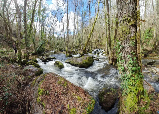 Ruta Dos Muiños