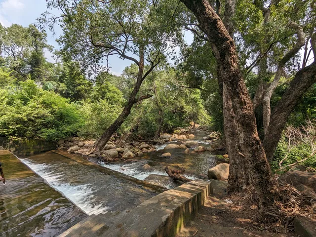 Forest Check Post Nambiyar kovil River