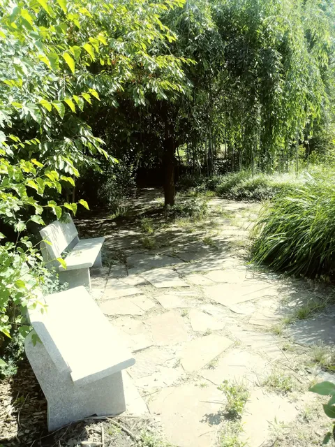 Modie Park Conservancy