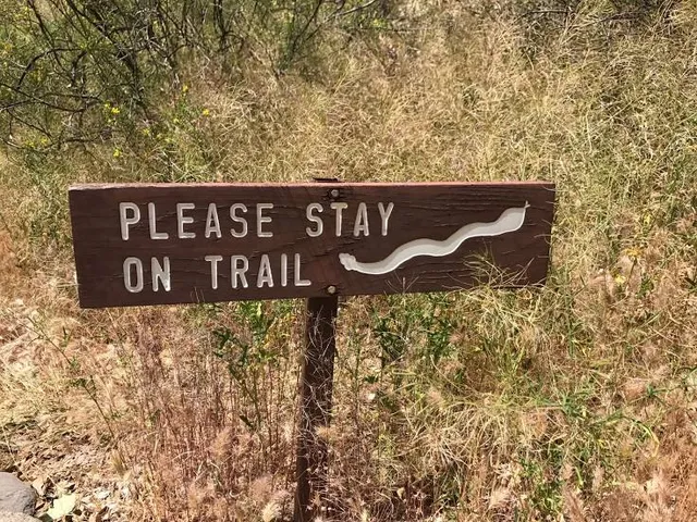 Lower Calf Creek Falls Trailhead