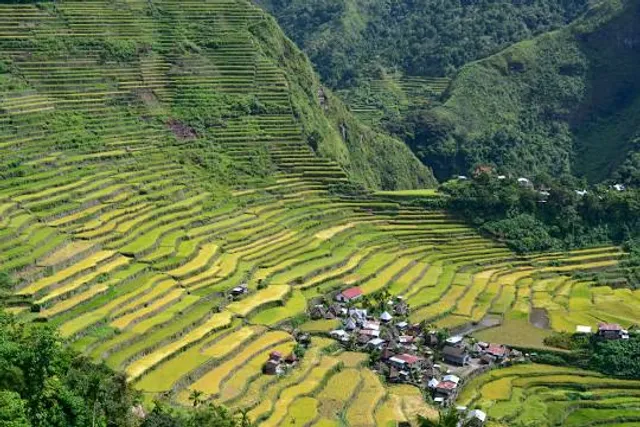 Rice Terraces of the Philippine Cordilleras