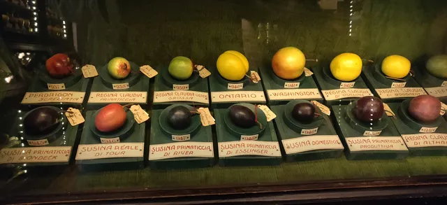 Museum of Fruit Francesco Garnier Valets