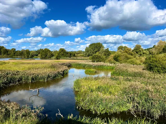 Suffolk Wildlife Trust - Lackford Lakes