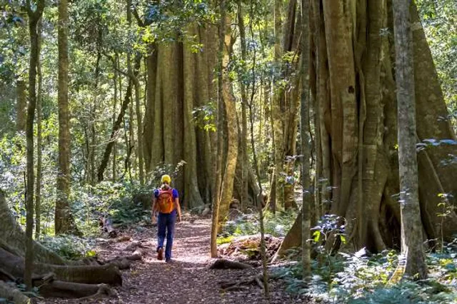 South Burnett Regional