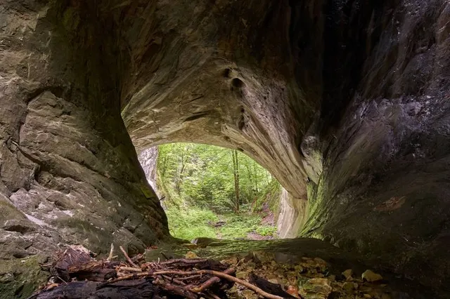 Portile Bihorului Cave