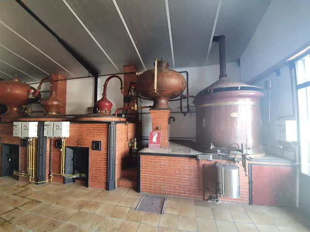 Vignoble Favre & Fils - Boutique sur l'exploitation et vente de vin et pineau BIO en ligne