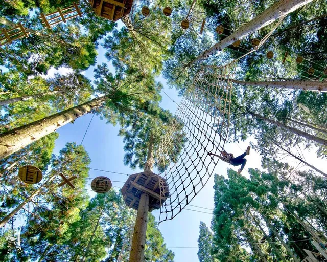 Forest Adventure Ritto