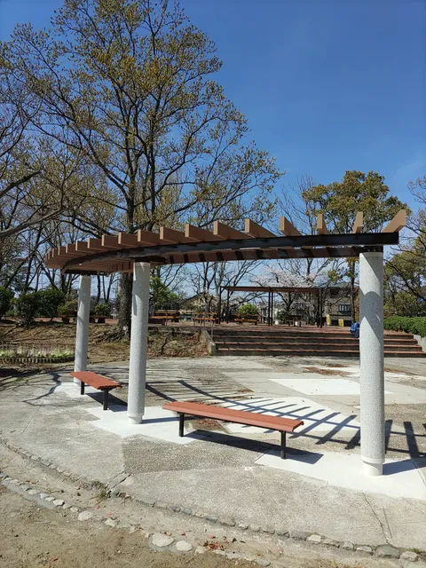 photo-1
