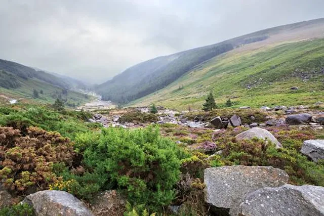 The Municipal District of Wicklow