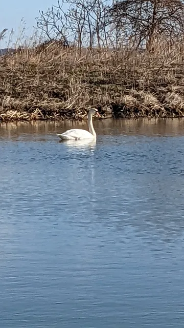 Harley Ensign Memorial - Boating Access Site