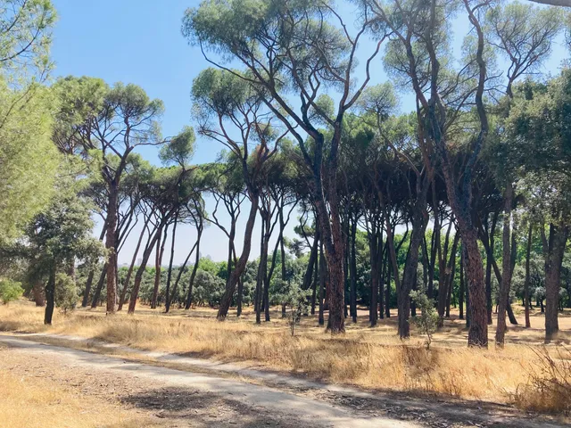 Acequia de Isabel II