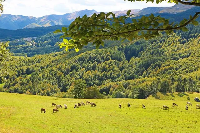 Parco Regionale dell'Alto Appennino Modenese Frignano
