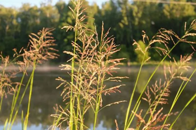 Sperenberger Gipsbrüche