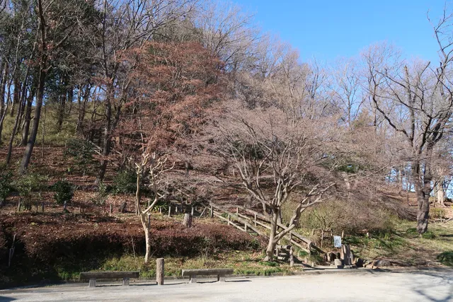 Mogusadai Nature Park