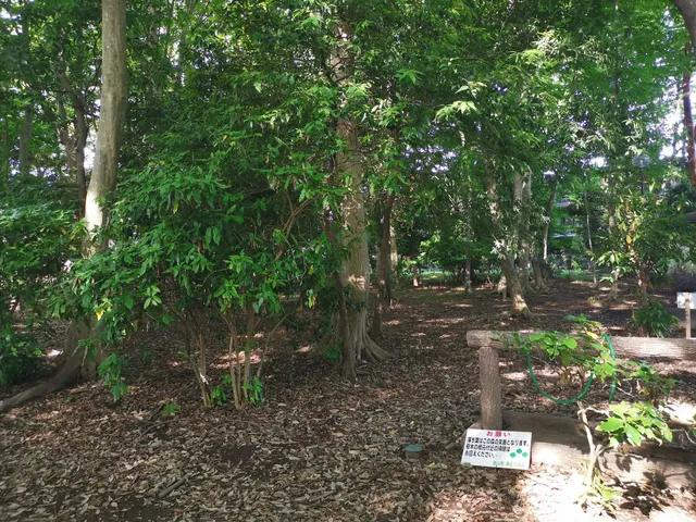 Matsugaokafurusato Park