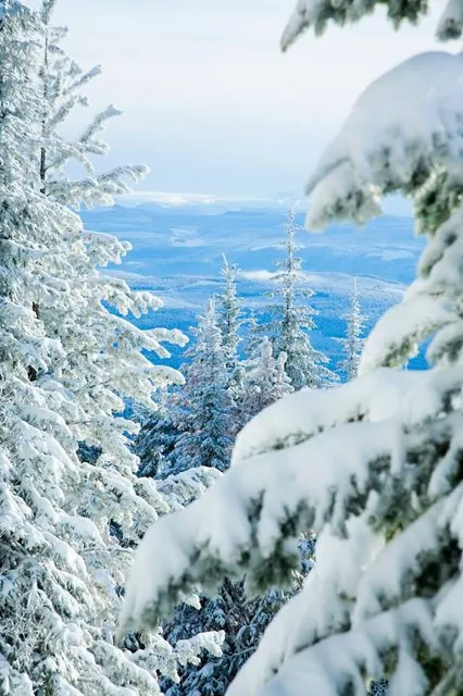 Silver Star Provincial Park
