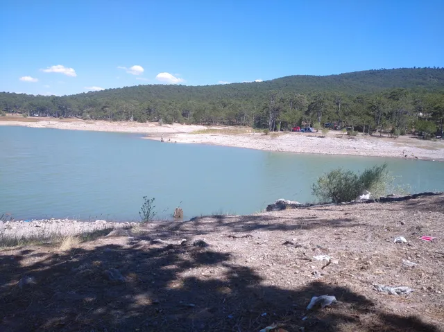 place image