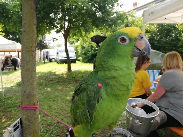 Parco Della Solidarietà