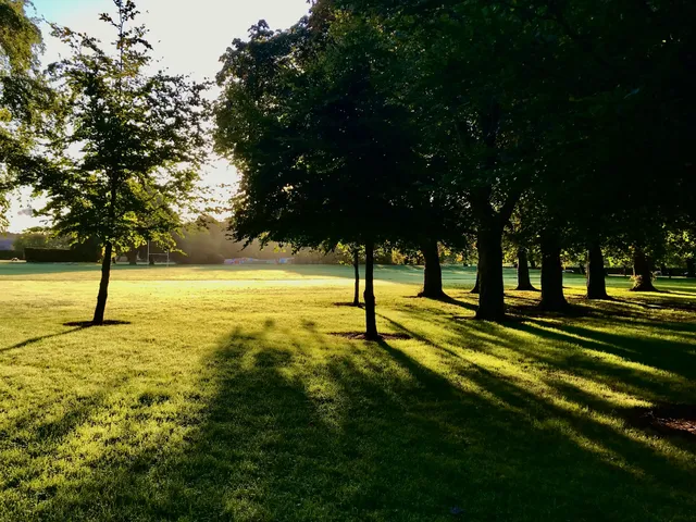 Waterford Pétanque Club