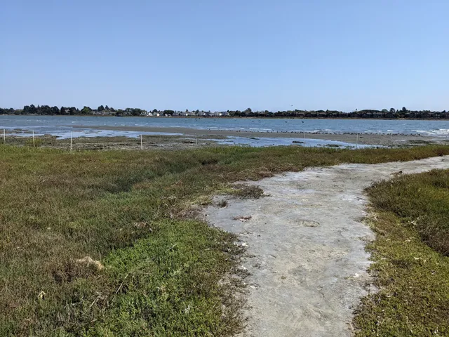 Elsie Roemer Bird Sanctuary
