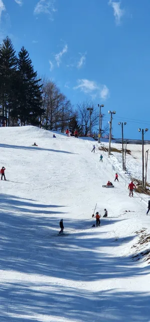 Brantling Ski Slopes Inc