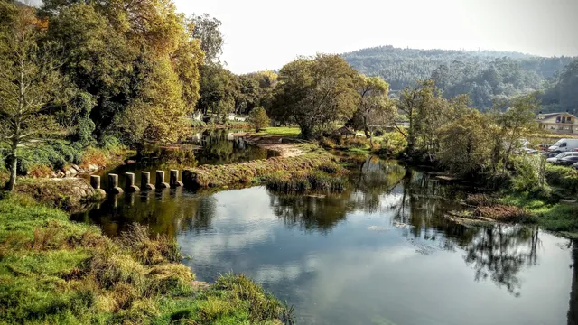 Carballeira de Caldas de Reis