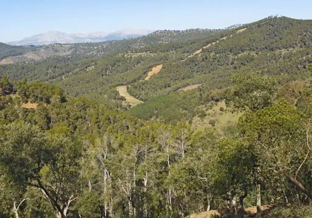 Montes de Málaga Natural Park