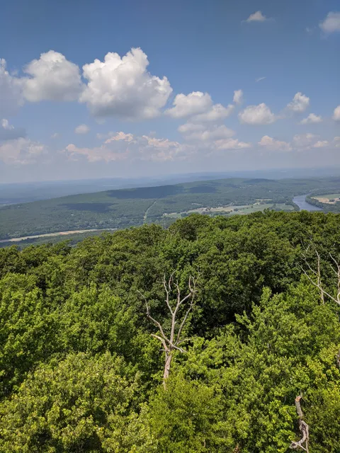 Mount Toby State Forest